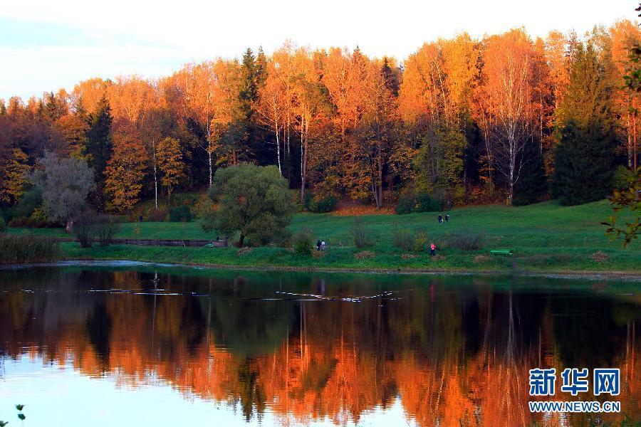 Очаровательный осенний Павловский парк