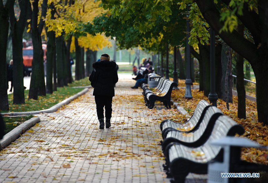 Живописный осенний пейзаж в Москве