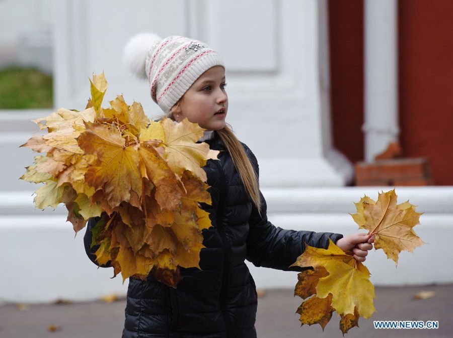 Живописный осенний пейзаж в Москве