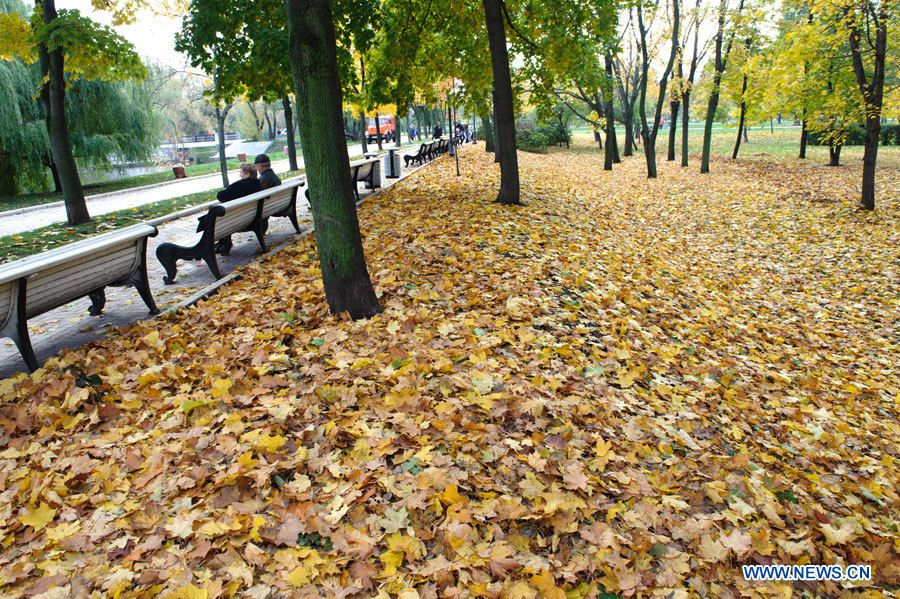 Живописный осенний пейзаж в Москве