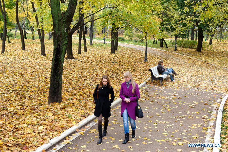 Живописный осенний пейзаж в Москве