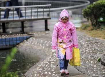 Осень в Пекине: Первый дождь