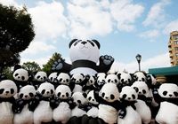 Полуфинал конкурса 'Мировой посланник панды 2012' прошел в Вашингтоне