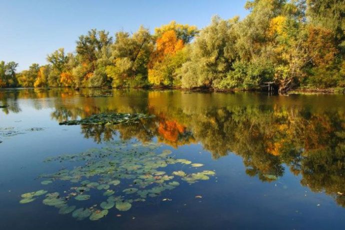 Красота! Отражения в воде