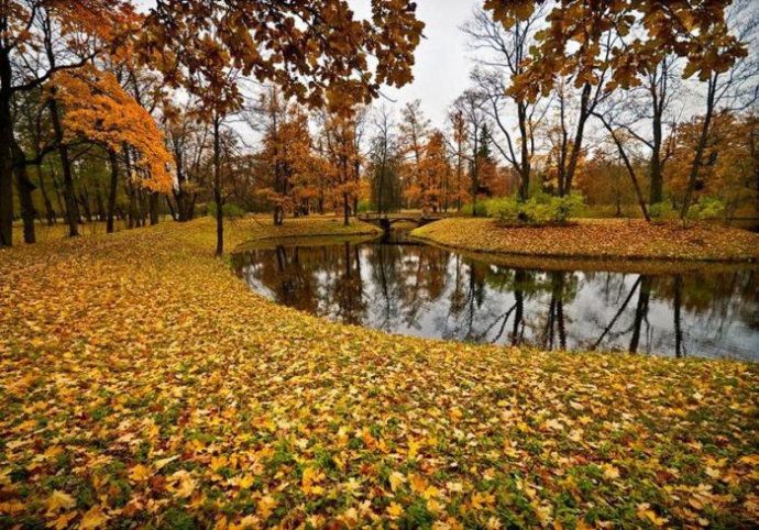 Красота! Отражения в воде