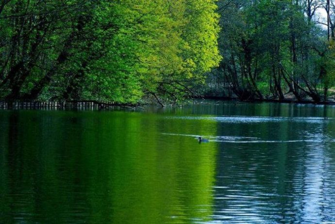 Красота! Отражения в воде