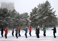 В некоторых районах провинции Хэйлунцзян ожидается снег 