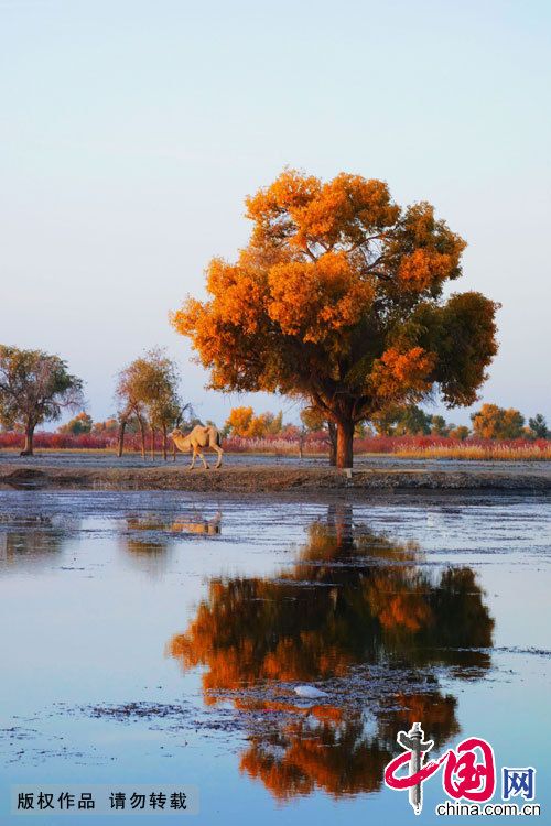 Красивые осенние пейзажи в уйгурской деревне СУАР