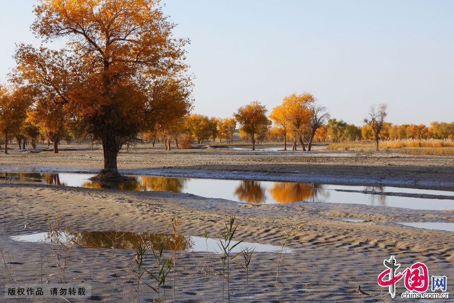 Красивые осенние пейзажи в уйгурской деревне СУАР