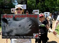 В ЮАР прошла демонстрация в защиту носорогов