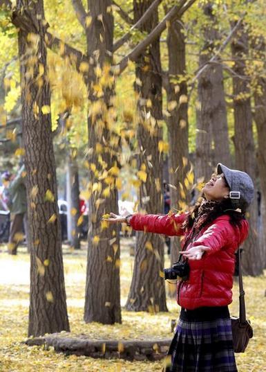 Осень в Пекине