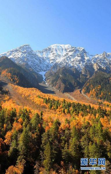 Пейзажная осень на востоке Тибета