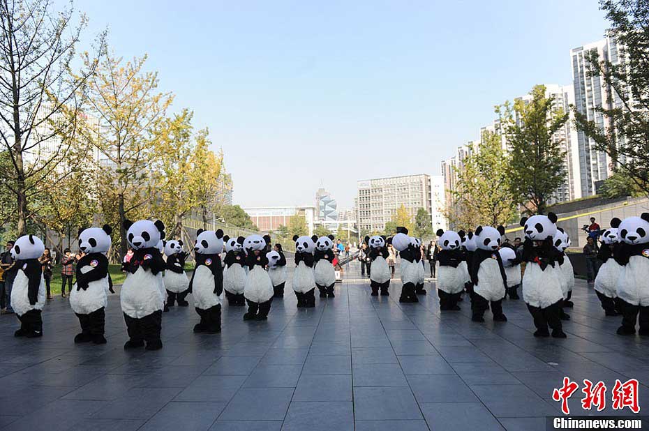 Волонтеры в костюмах панд танцуют 'Gangnam Style' в Чэнду