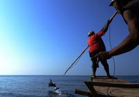 Индонезийская деревня китобоев скоро может остаться без китов