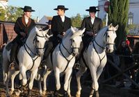 Закрытие 37-й Португальской выставки лошадей и конного спорта