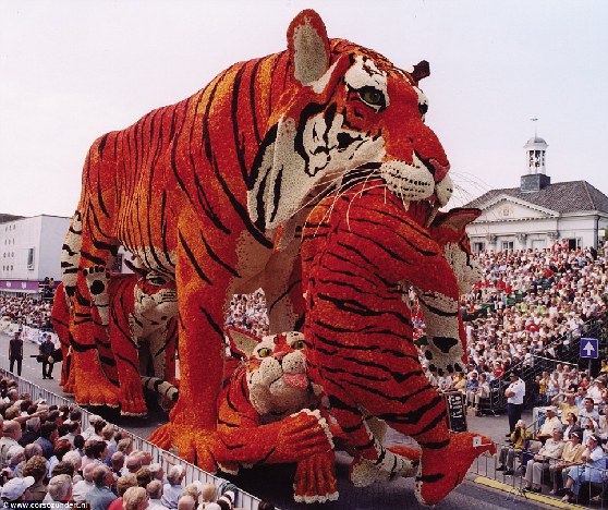 Нидерланды: Ежегодное мероприятие Bloemencorso Zundert - крупнейший цветочный парад в мире2