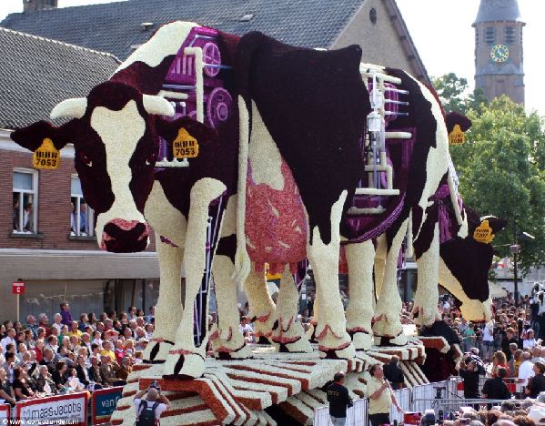 Нидерланды: Ежегодное мероприятие Bloemencorso Zundert - крупнейший цветочный парад в мире7