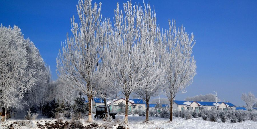 Зимние пейзажи в городе Хэйхэ