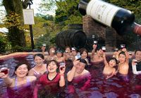 Япония завлекает вином и SPA-удовольствиями 