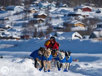 Фотоальбом: гонка на собачьих упряжках «Айдитарод» на Аляске3