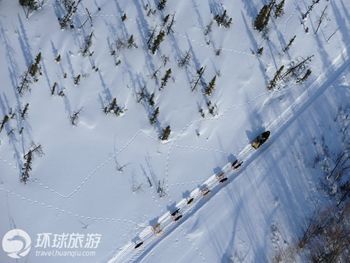 Фотоальбом: гонка на собачьих упряжках «Айдитарод» на Аляске5