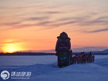 Фотоальбом: гонка на собачьих упряжках «Айдитарод» на Аляске7