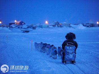 Фотоальбом: гонка на собачьих упряжках «Айдитарод» на Аляске8