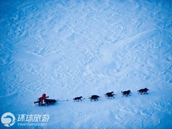 Фотоальбом: гонка на собачьих упряжках «Айдитарод» на Аляске9