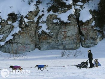 Фотоальбом: гонка на собачьих упряжках «Айдитарод» на Аляске13