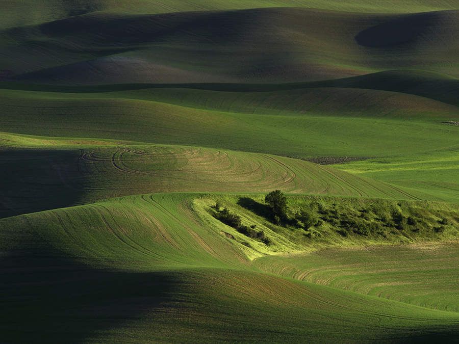 Прекрасная фотосессия