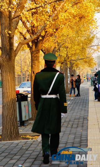 Очаровательная красота начала зимы в пекинском торговом районе Саньлитунь
