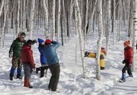 Сильный снегопад в начале зимы ознаменовал открытие сезона зимнего туризма, привлекающего туристов со всей страны в провинцию Хэйлунцзян 