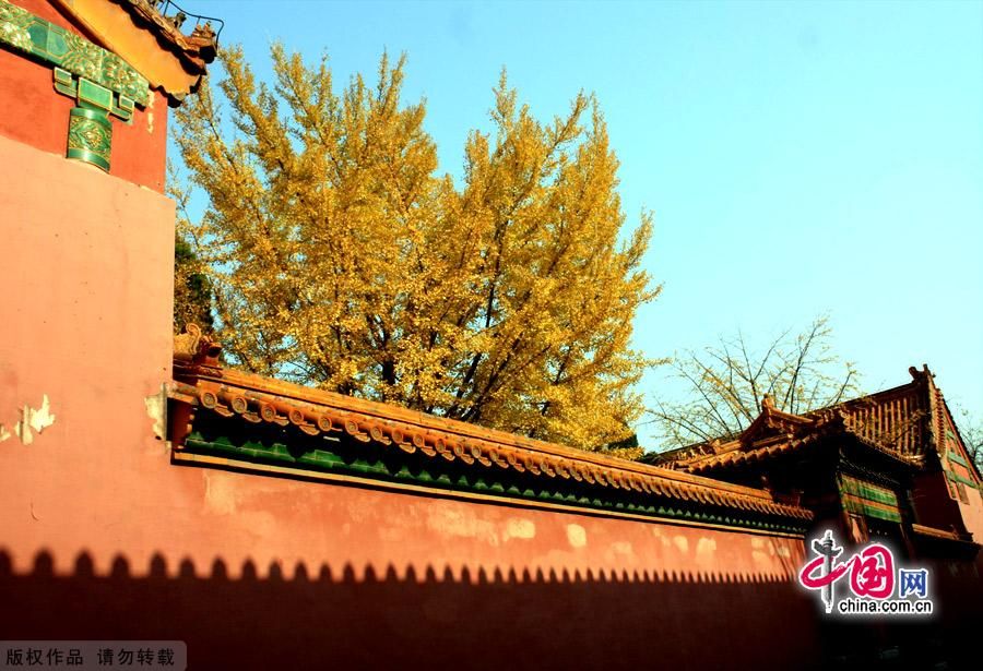 Раняя зима дворца «Гугун» Пекина