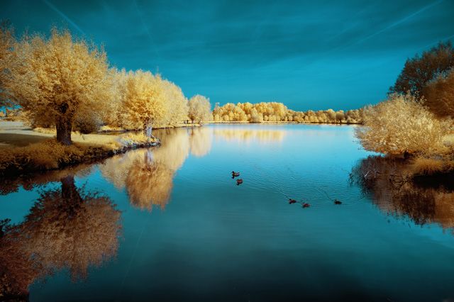 Красивые отражения в воде