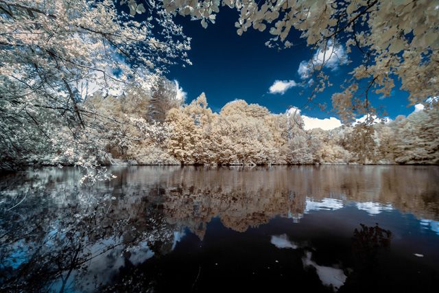 Красивые отражения в воде