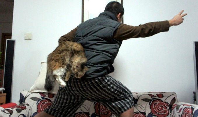 «Авианосец style» стал популярным в Интернете13