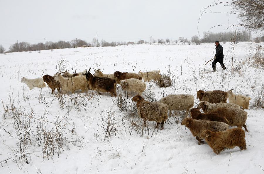 В синьцзянском округе Алтай продолжаются снегопады