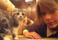 Тейлор Свифт - большая любительница кошек2