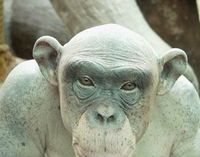 Они симпатичные?