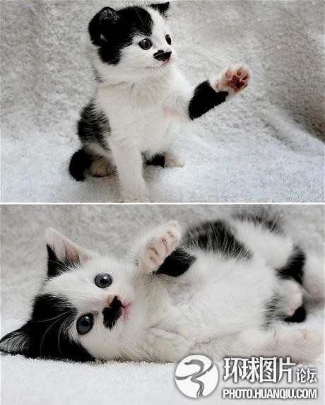 Они симпатичные?