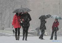 В Украине в этом году впервые выпал снег