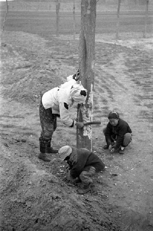 Недород в провинции Хэнань в 1942 году в объективах американских журналистов