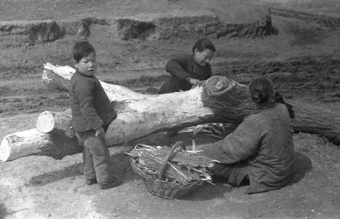 Недород в провинции Хэнань в 1942 году в объективах американских журналистов