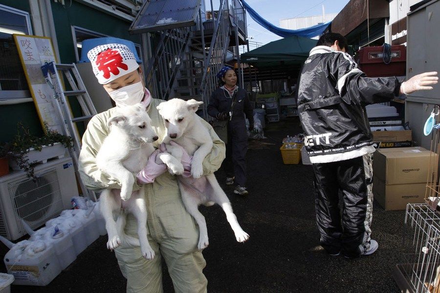 Фото: 2012 в объективах8