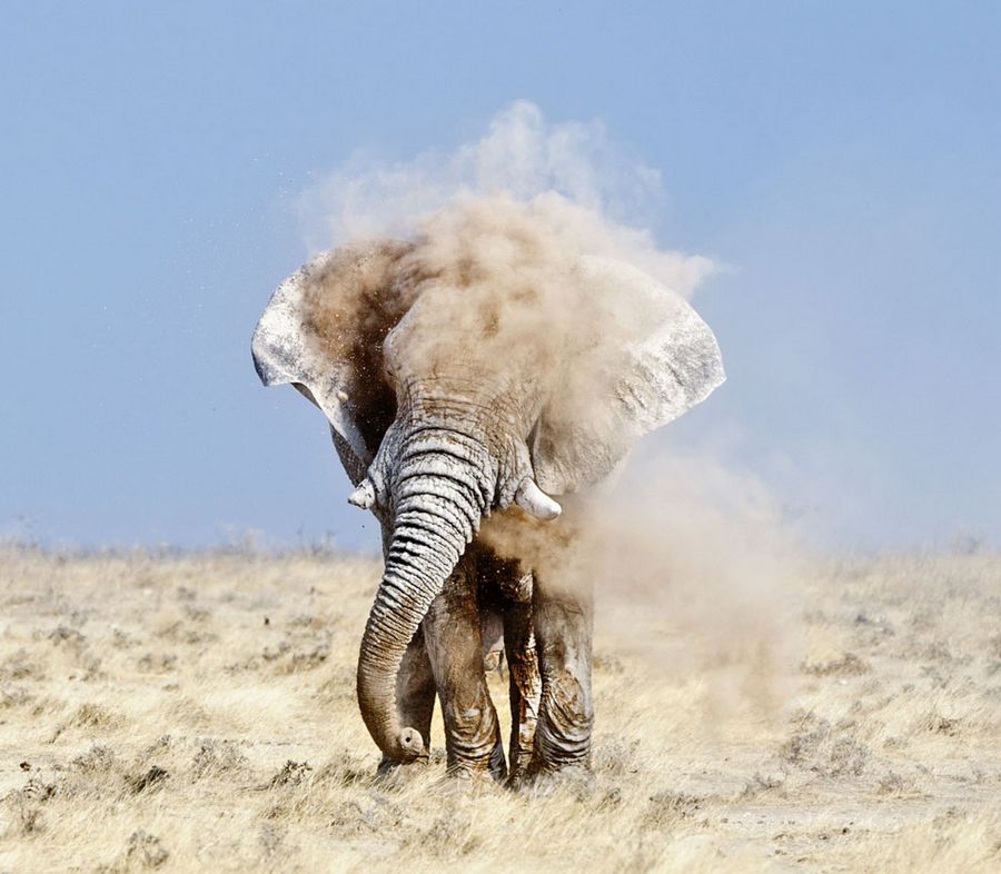 Прекрасные произведения фотоконкурса от «National Geographic» 2012