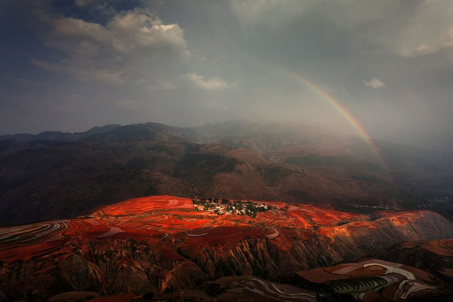 Прекрасные произведения фотоконкурса от «National Geographic» 2012