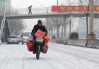 Очередной снегопад в городских районах Пекина