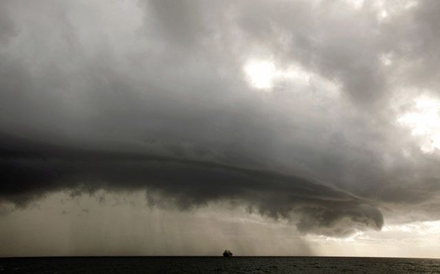 Наилучшие фотографии за 2012: природа и животные