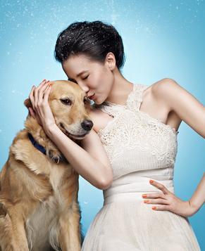 Красивая Сун Цзя и симпатичная золотая собака