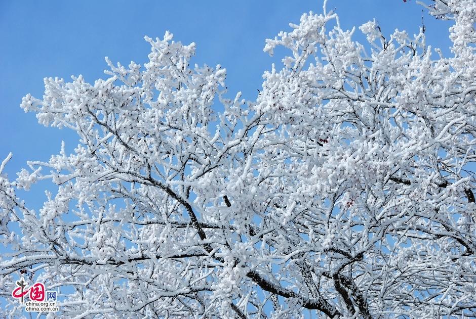 Горы Хуаншань под снегом: рай для совершения мечты фотографов